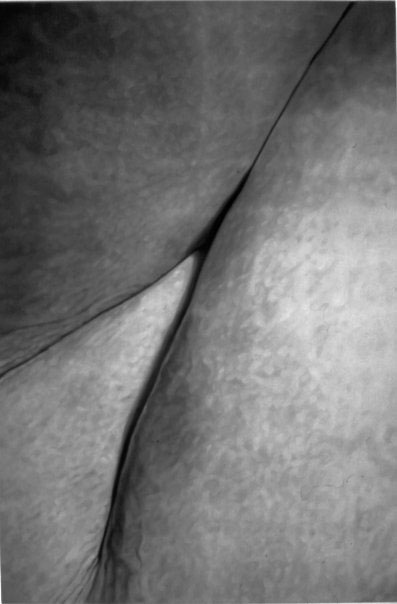 35_flesh_inside_397px