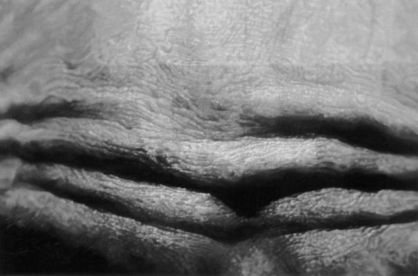 36_brow_604px